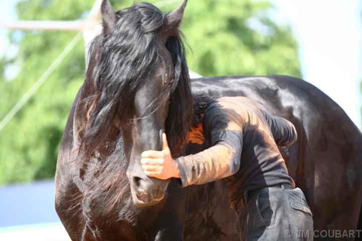 Diapositive suivante